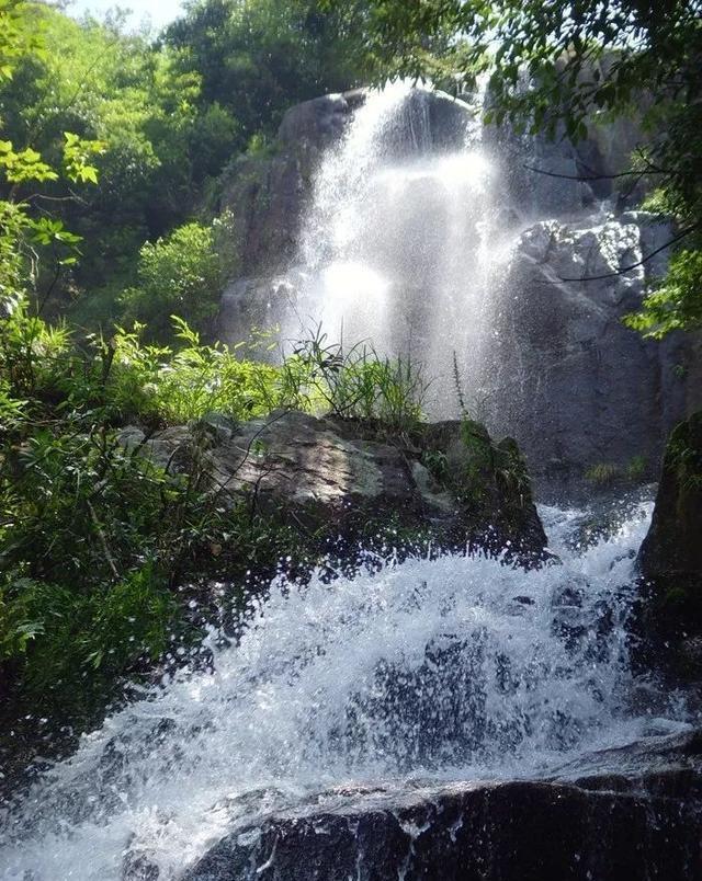 鬼泣5